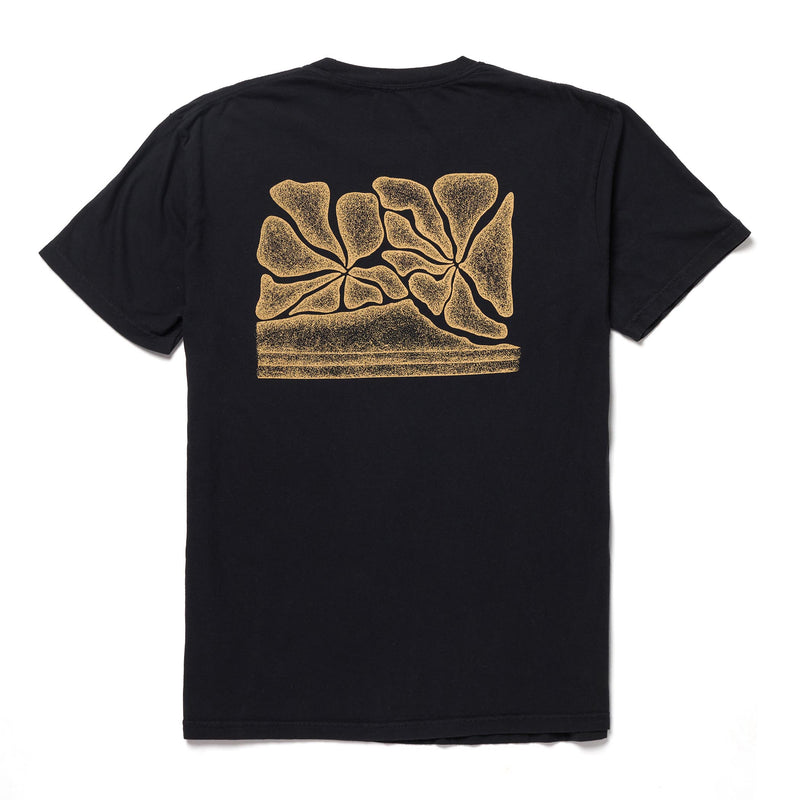 Short Sleeve | Diamond Head