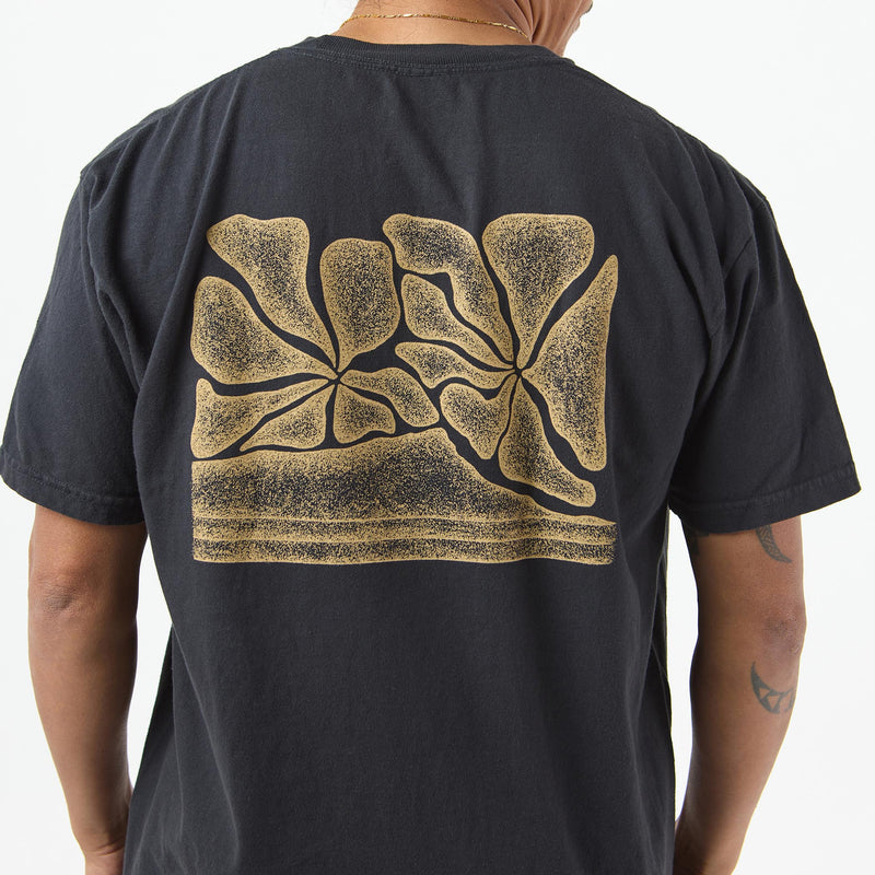 Short Sleeve | Diamond Head