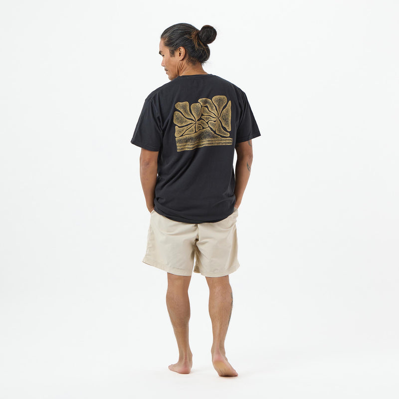 Short Sleeve | Diamond Head