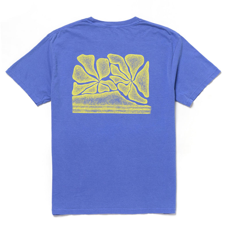 Short Sleeve | Diamond Head